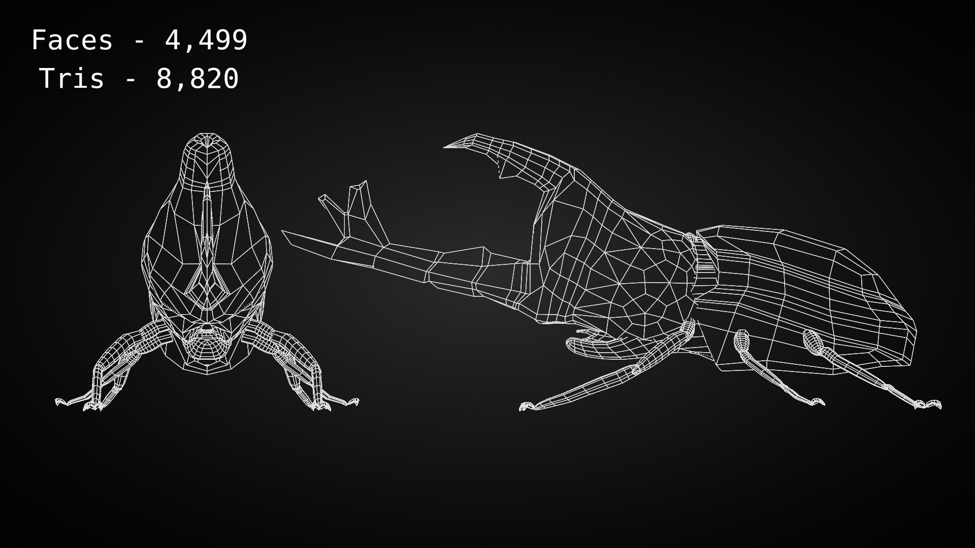 Beetle Wireframe